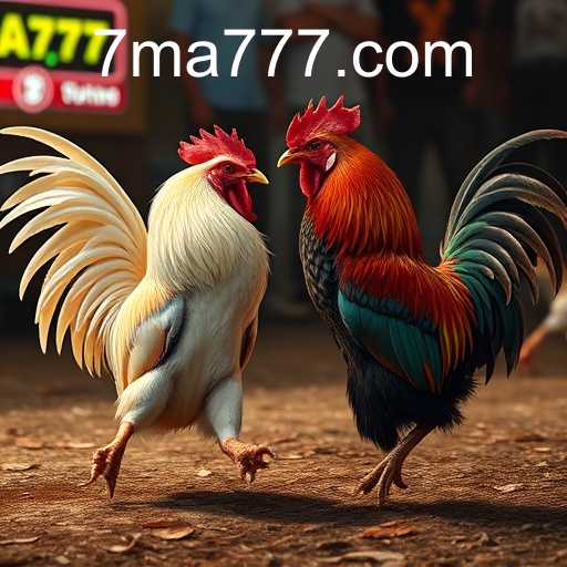 Exploring the Impact and Dynamics of Online Sabong: A Focus on MA777